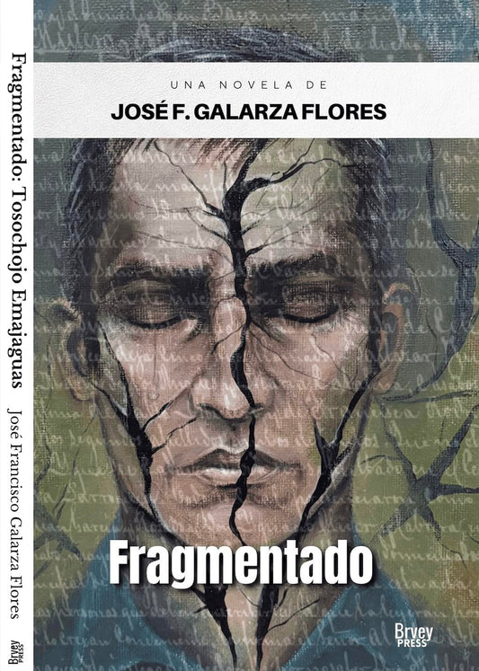 Fragmentado
